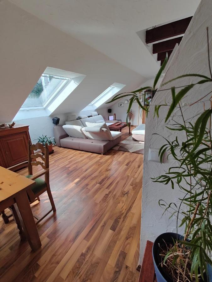 Komfort Ferienwohnung Biene Саарбрюккен Экстерьер фото