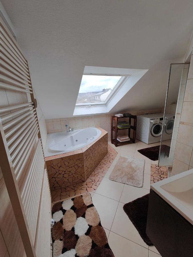 Komfort Ferienwohnung Biene Саарбрюккен Экстерьер фото